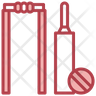 cricket player logo
