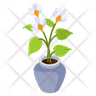 cyclamen plant icon