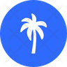 icon areca