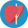 hepatology liver icon download