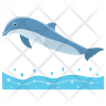 cartoon dolphin icon svg