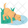 dog drinking water icon