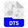dts symbol
