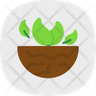 earth plant icon download