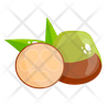 icons for feijoa