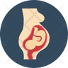 unborn baby icon