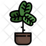 fiddle fig icon svg