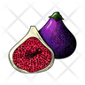 ficus icon png