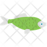 round form fish icon