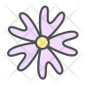 phlox symbol