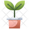 free black seeds icons