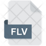 flash video file logo