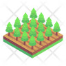 icon for virgin forest
