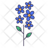 forget me not icon svg