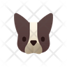 french dog icon png