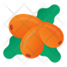 icons for sea buckthorn berries