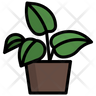 icons of golden pothos
