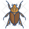 icon for goliath beetle