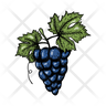 muscadine icon png
