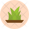 icon for green lawn