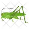 icon for grasshopper