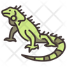 green iguana icon png