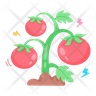 icons for search tomato
