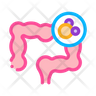 gut stomach icon png