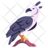harpy symbol