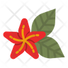 icon for hawaii flower