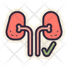 icon for healthy kidney