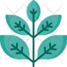collecting herbs icon svg