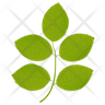 icons of hickory leaves