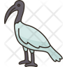 ibis icon svg