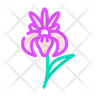 icon iris flower