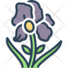 free iris flower icons