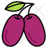 jamun icon png