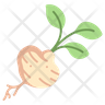icon for jicama