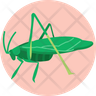 free katydid icons
