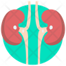 kidney failure icon svg
