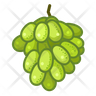 icons for kishmish grapes