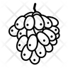 icon for kishmish grapes
