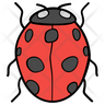 icons of ladybird