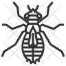 larvae icon
