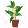lemon myrtle plant icon