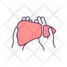 liver diseases treatment icon png