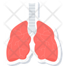 icons for lung