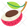icon lychee fruit