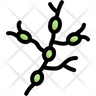 nerve cells icon png