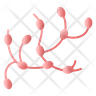 lymph cells icon png